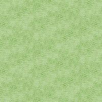 ttFRUIT-CD4635 GREEN